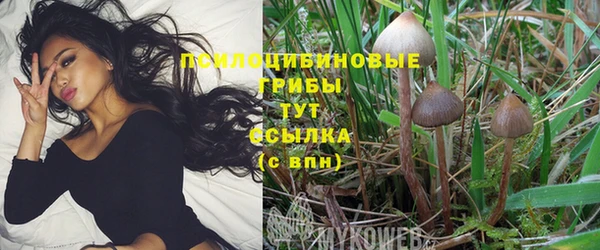 спиды Балабаново
