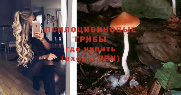 гашиш Аркадак